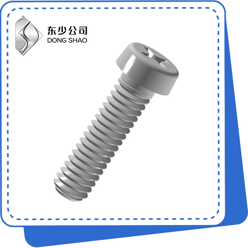 Whakawhiti Recessed Cheese Head Screws